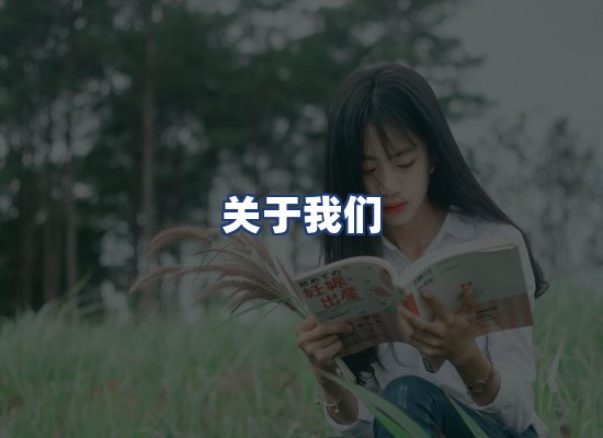 关于我们